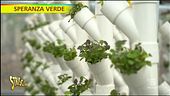 Speranza Verde a Roma