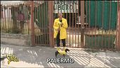 Burocrazia distruttiva