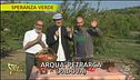 Melograni dal nord
