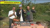 Melograni dal nord