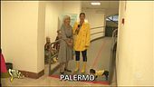 Una scuola sparpagliata