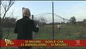 Esalazioni tossiche pericolose