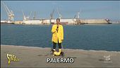 I bacini di carenaggio di Palermo