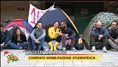 Universitari in mezzo a una strada