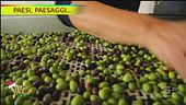 Paesi, paesaggi...a Serre