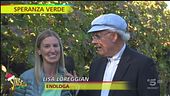 Il vino di Arquà Petrarca