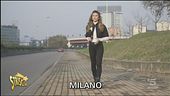 Insetti nel dormitorio comunale
