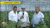 Speranza verde a Vittoria