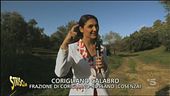 Inquinamento da percolato in Calabria