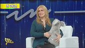 Mara Venier e l'appello per l'Australia
