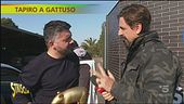 Tapiro d'oro a Gennaro Gattuso