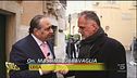 Un Vespone pungente