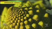 I benefici del cavolo romano