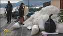 L'inquinamento da plastica dei mari
