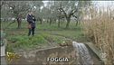 Perdita dall'acquedotto di Foggia