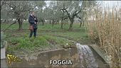 Perdita dall'acquedotto di Foggia