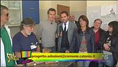 I cani dell'ospedale San Marco di Catania cercano casa