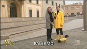 Testimone di giustizia abbandonata dallo Stato