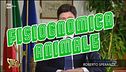 Fisiognomica animale