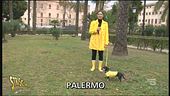 Reddito di cittadinanza e volontariato (dis)interessato