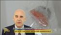 Interferenti endocrini, i consigli per cucinare in sicurezza