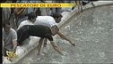 Pescatori di euro alla Fontana di Trevi