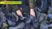 Benefici e proprietà nutritive del cavolo cappuccio viola