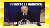 Passeggiate con i figli, i meme più divertenti