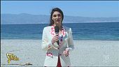 Vendita illegale di novellame in Calabria