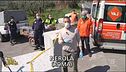 Coronavirus, le ambulanze per gli animali