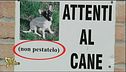Cartelli da Fase 2