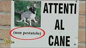 Cartelli da Fase 2