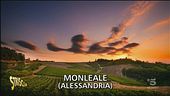 Il Timorasso di Monleale, un vino da conoscere