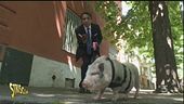 Il premier Conte e il monito a Silvia Romano