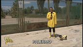 Fase 2 a Palermo, l'importanza di riaprire il Parco Cassarà