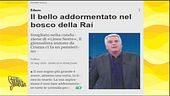 Maurizio Mannoni assonnato e altre gaffe in tv