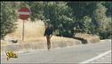 Prostituzione no-stop sull'Aurelia a Roma
