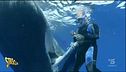 Balena chiede aiuto al sub per liberarsi dall'amo