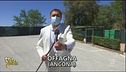 Dentista solo per estetica, ma senza titolo