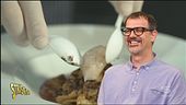 Antonio Guida e le sue Sagne 'ncannulate, l'intervista