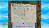 Dai cartelli ai pacchi, la risata è dietro l'angolo