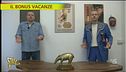 Bonus vacanze, tutto quello che c'è da sapere