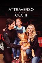 Attraverso i miei occhi