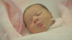 Una nuova vita con Venere