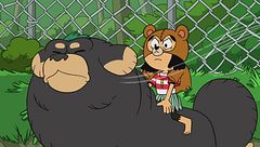 Gli scout aiutano sempre