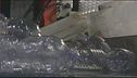 La nuova tassa sulla plastica