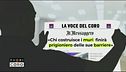 Angeli e demoni