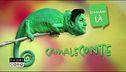 Il camaleConte