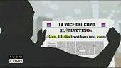 Nidi di rondine o tane di volpe?