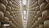 Il Parmigiano Reggiano
